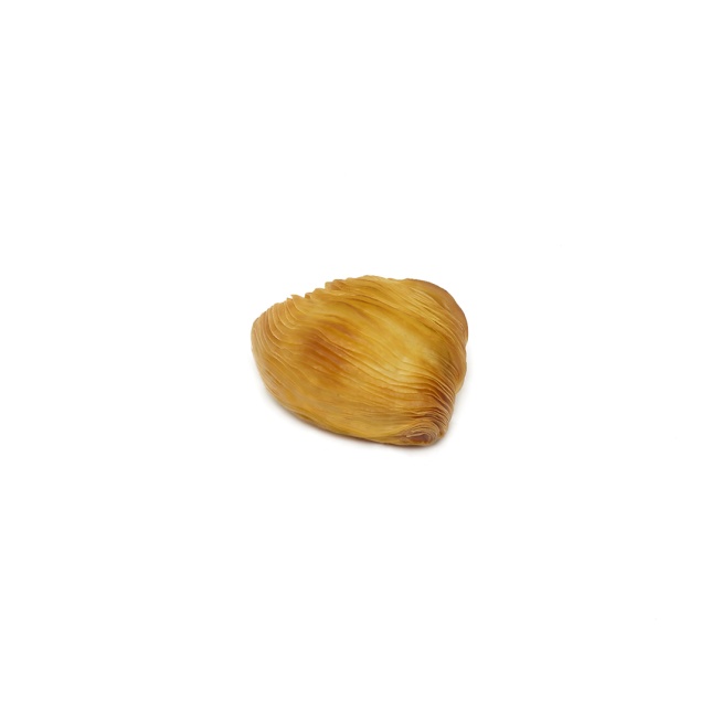 Klassische Sfogliatella Mignon – Riccia
